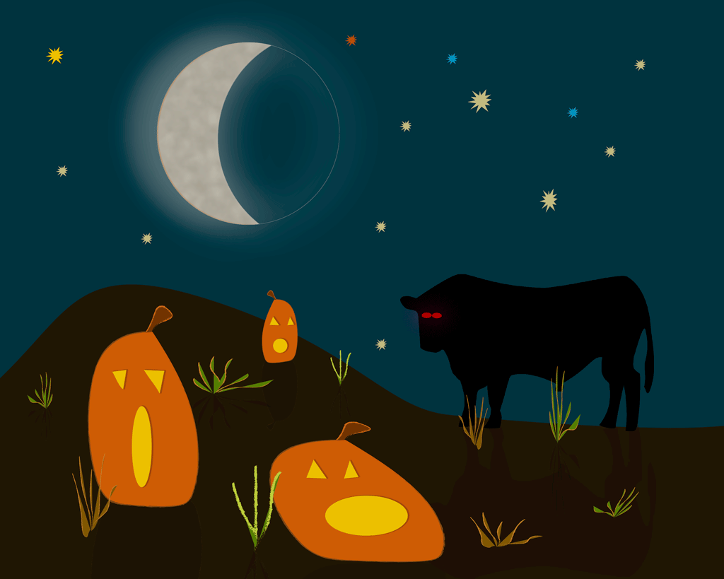 Midnight Pumpkin Patch!