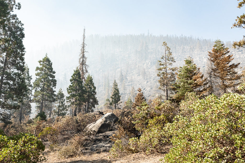 Elizabeth Hahn, Double Dome Rock, Stanislaus National Forest, California, Tuolumne County, Donnell Fire, WildFire, Forest, Sierra Nevada