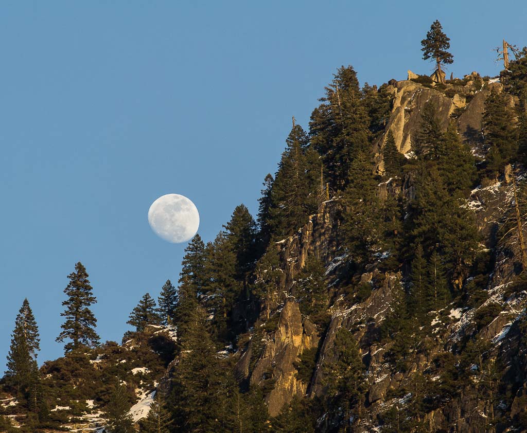 moon rise over granite and pine trees in Yosemite National Park