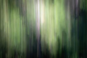 ICM Forest 5