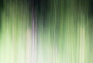 ICM Forest 6