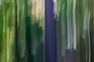 ICM Forest 3