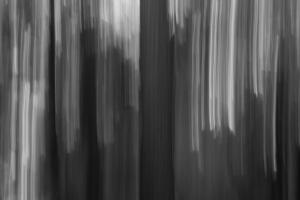 ICM Forest 2