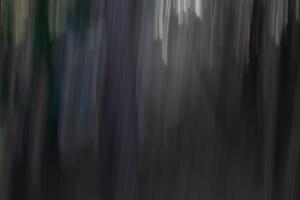 ICM Forest 1