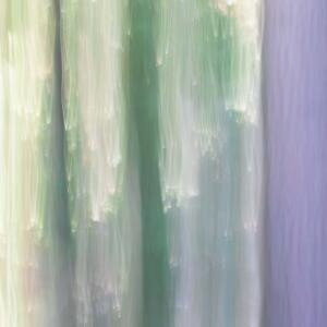 ICM Forest 8