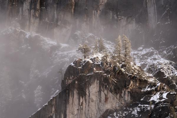 Yosemite National Park, Winter, Snow, Pine Trees, Half Dome, Sierra Nevada